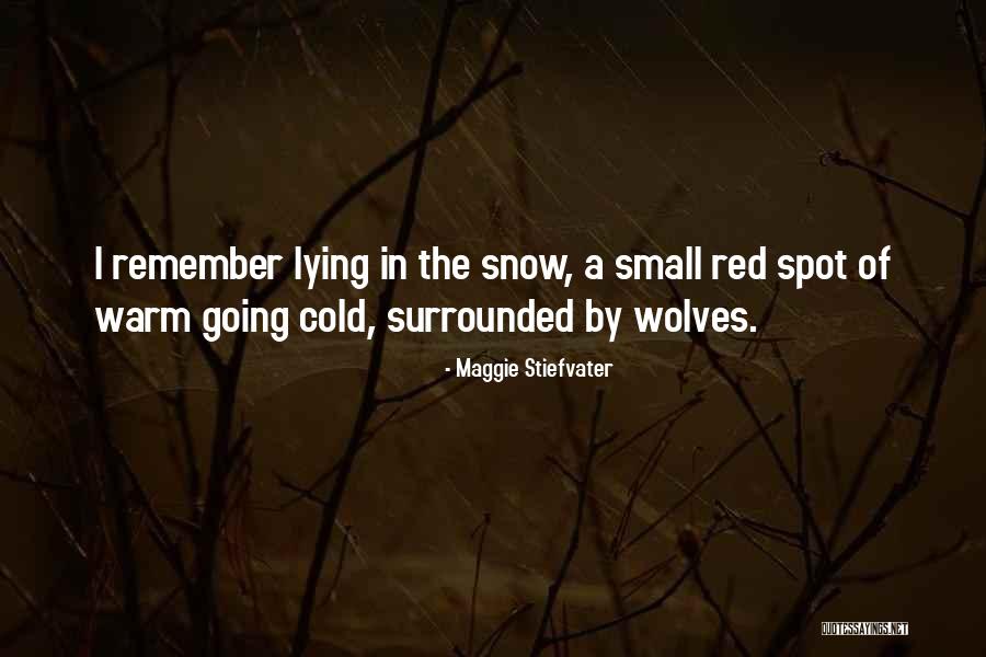 Keiland Company Quotes By Maggie Stiefvater Keiland Company Quotes By Maggie Stiefvater
