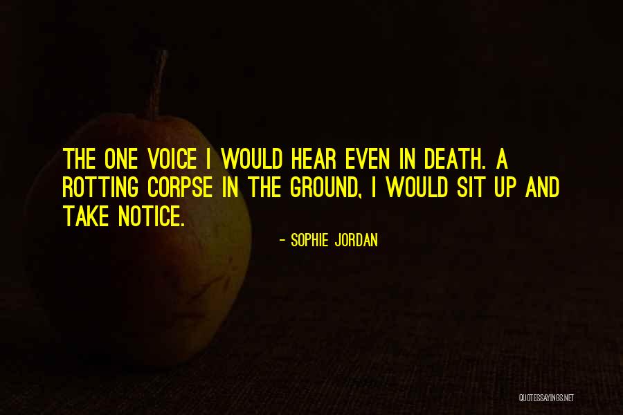 Keisuke Kuwata Quotes By Sophie Jordan Keisuke Kuwata Quotes By Sophie Jordan