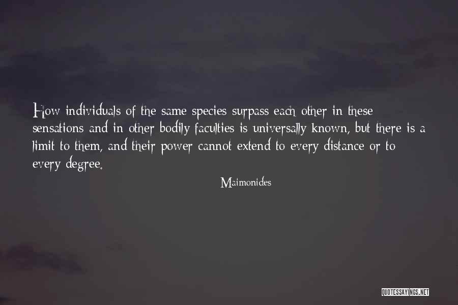 Kejar Dunia Quotes By Maimonides Kejar Dunia Quotes By Maimonides