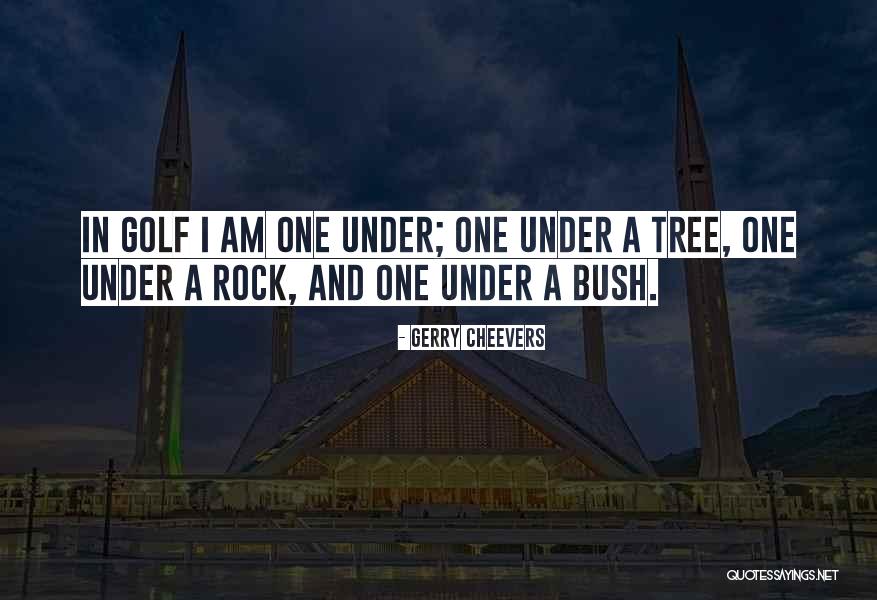 Kejian Quotes By Gerry Cheevers