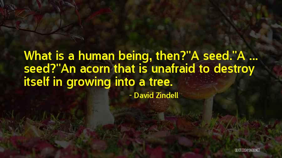 Kekana Hlatshwayo Quotes By David Zindell Kekana Hlatshwayo Quotes By David Zindell