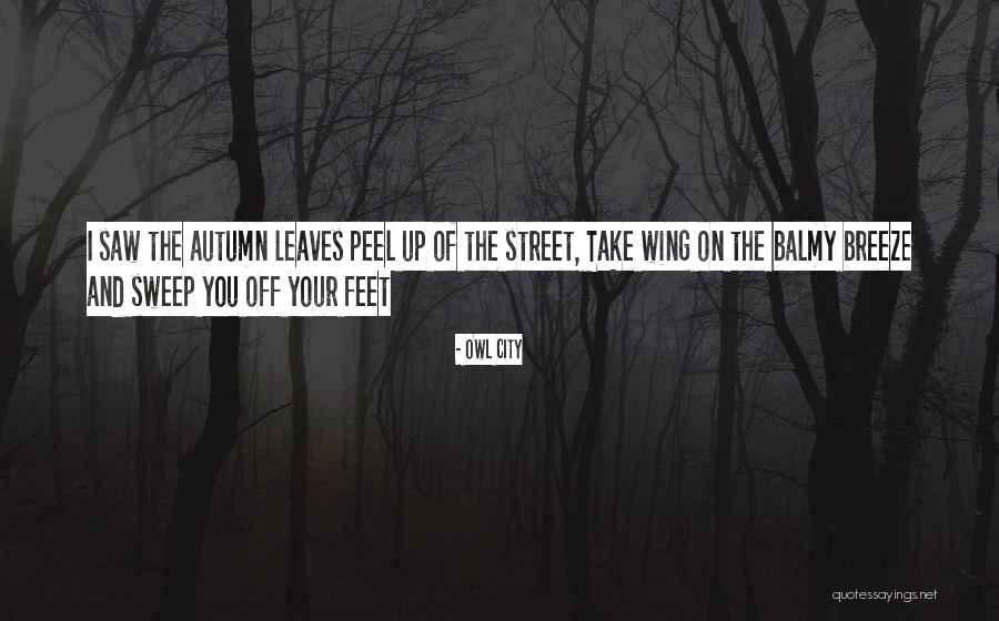 Kekhawatiran Yang Quotes By Owl City Kekhawatiran Yang Quotes By Owl City