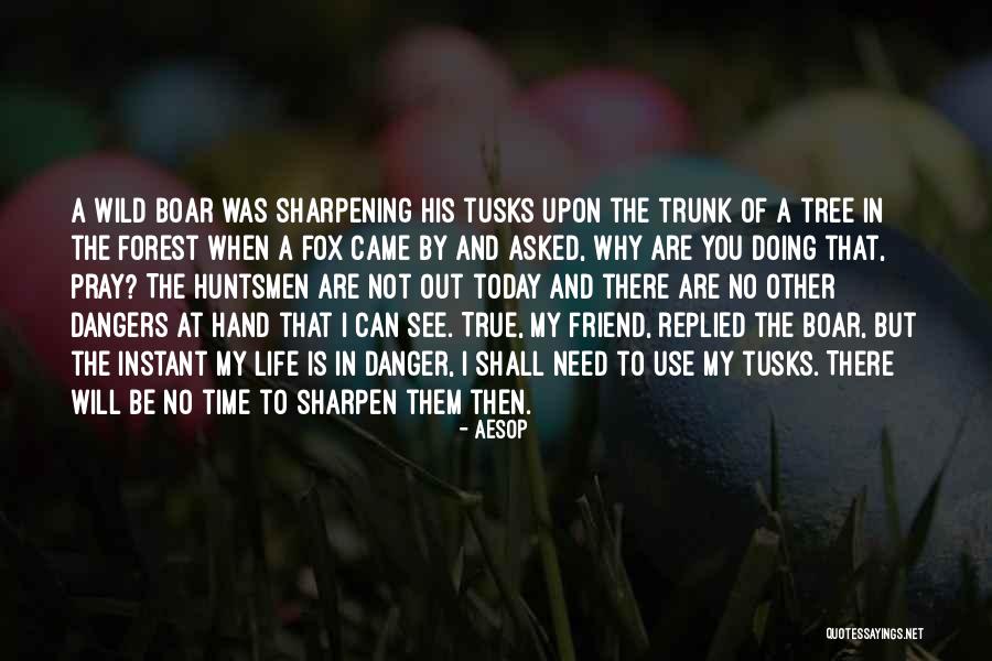 Kekrops Quotes By Aesop Kekrops Quotes By Aesop