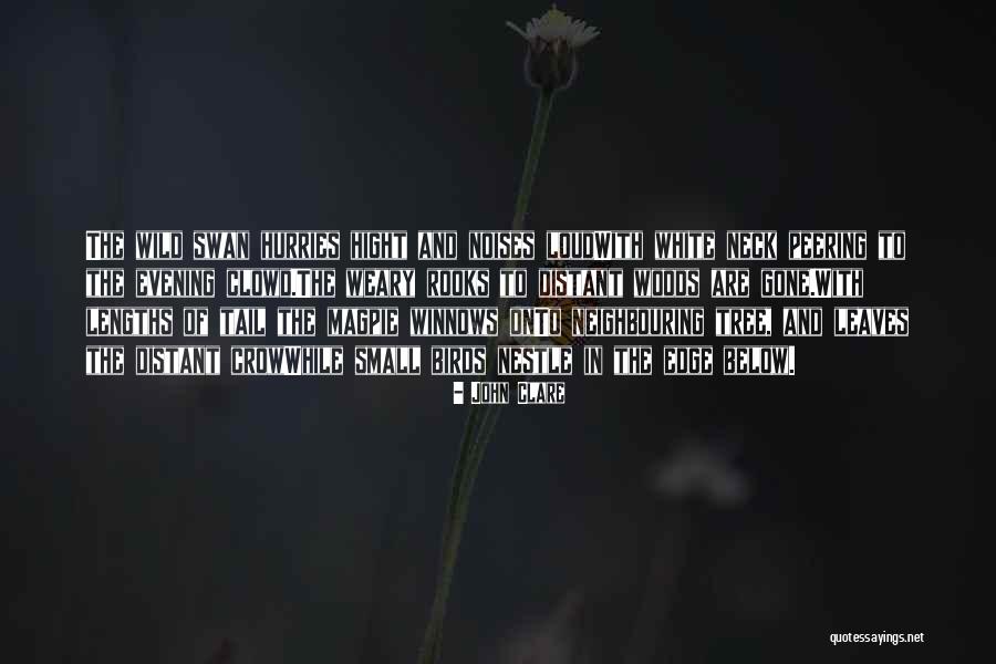Kekse Quotes By John Clare Kekse Quotes By John Clare