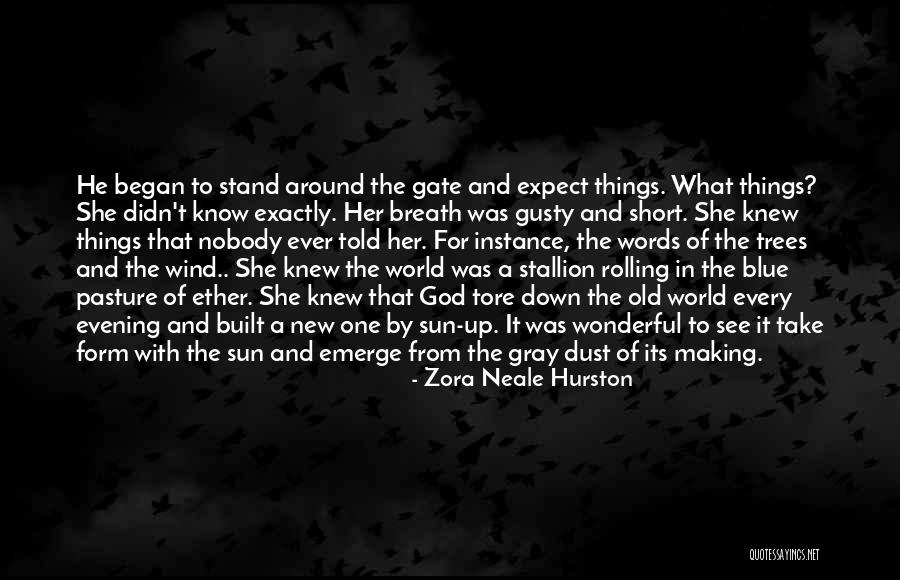 Kelantan Flag Quotes By Zora Neale Hurston Kelantan Flag Quotes By Zora Neale Hurston