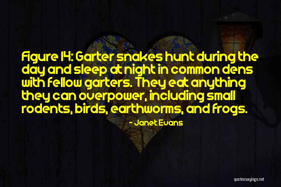 Kelenjar Quotes By Janet Evans Kelenjar Quotes By Janet Evans