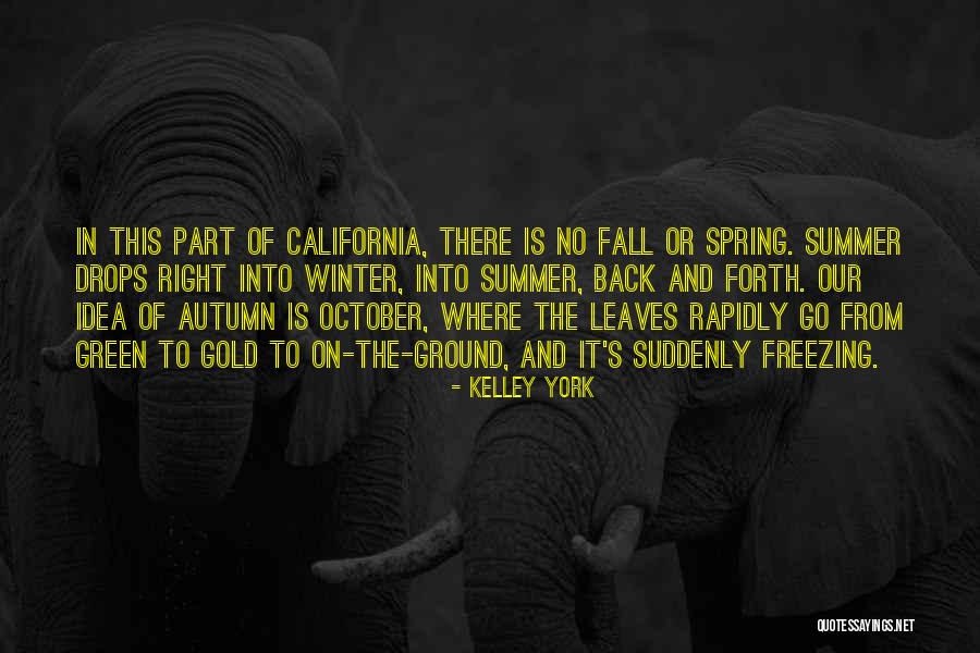 Kelley York Quotes 1544095 Kelley York Quotes 1544095