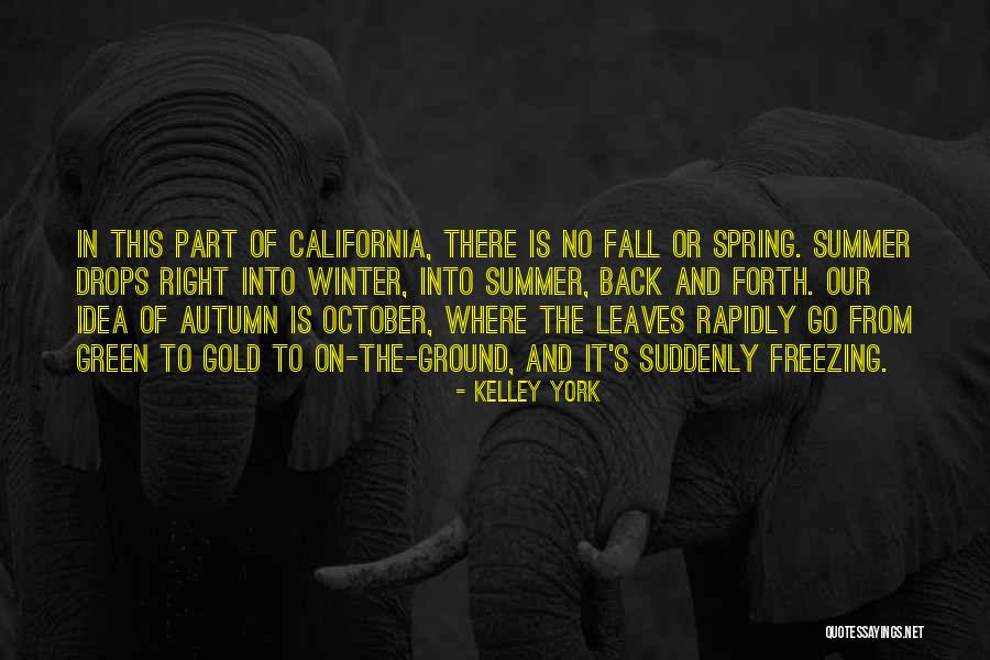 Kelley York Quotes 1544095