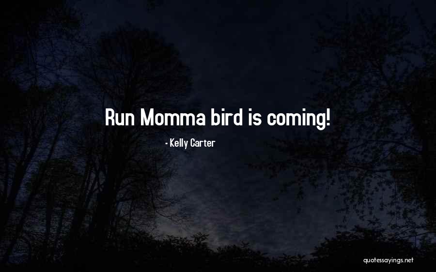 Kelly Carter Quotes 2177672 Kelly Carter Quotes 2177672