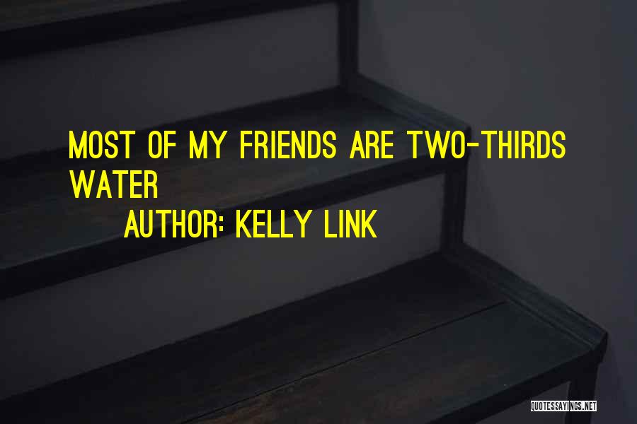Kelly Link Quotes 2182313