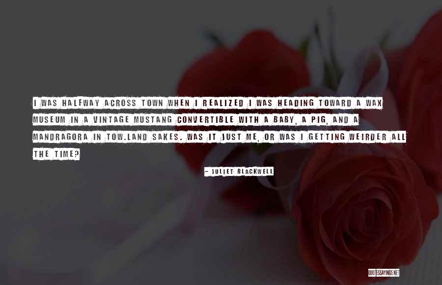 Kellyn Bechtold Quotes By Juliet Blackwell Kellyn Bechtold Quotes By Juliet Blackwell