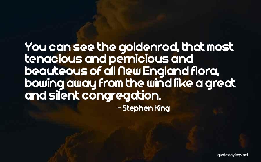 Kelmar Aircraft Quotes By Stephen King Kelmar Aircraft Quotes By Stephen King