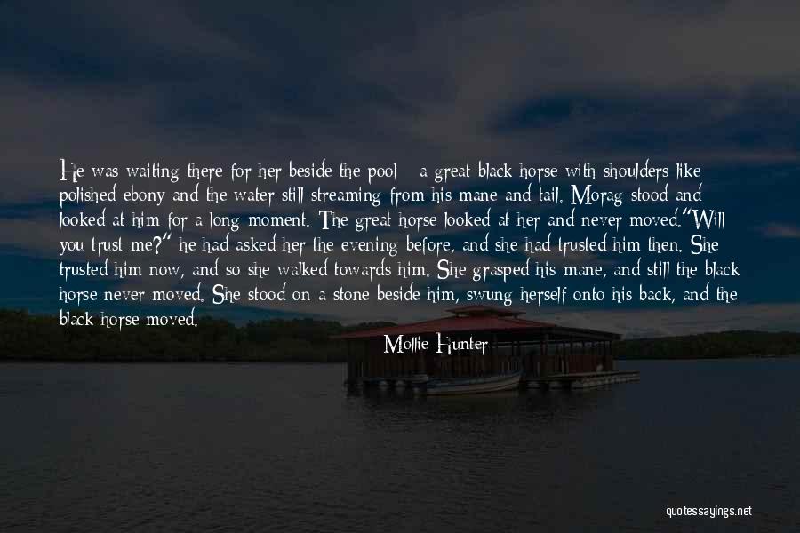 Kelpie Quotes By Mollie Hunter Kelpie Quotes By Mollie Hunter