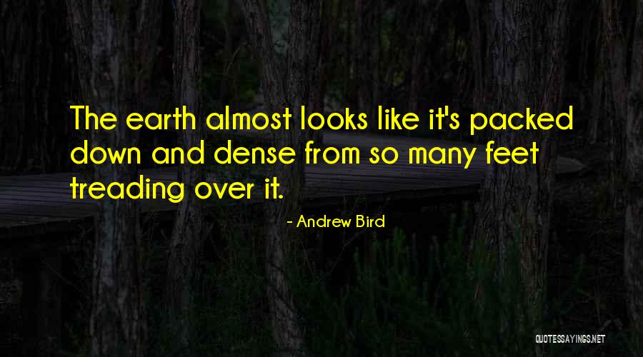 Kelsie Schelling Quotes By Andrew Bird Kelsie Schelling Quotes By Andrew Bird