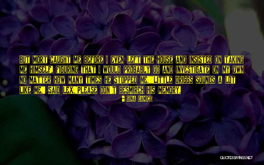 Kelushka Quotes By Gina Damico Kelushka Quotes By Gina Damico