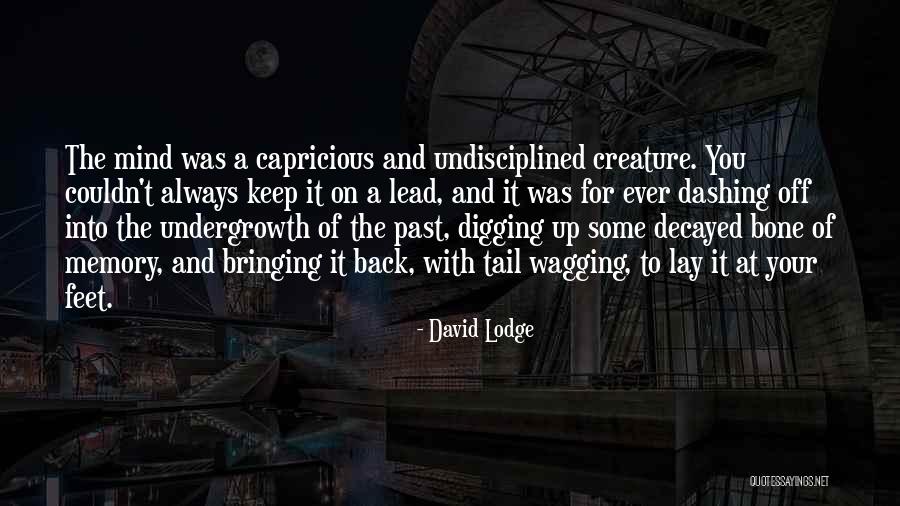 Kematangan Intelektual Adalah Quotes By David Lodge Kematangan Intelektual Adalah Quotes By David Lodge