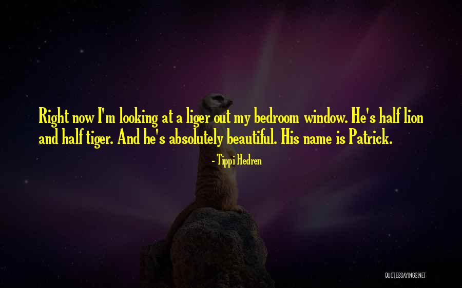 Kemetic Proverbs Quotes By Tippi Hedren Kemetic Proverbs Quotes By Tippi Hedren