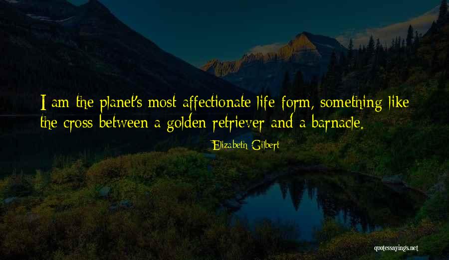 Kemigisha Gloria Quotes By Elizabeth Gilbert Kemigisha Gloria Quotes By Elizabeth Gilbert