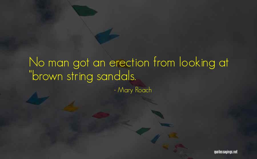 Kempkes Gouda Quotes By Mary Roach Kempkes Gouda Quotes By Mary Roach