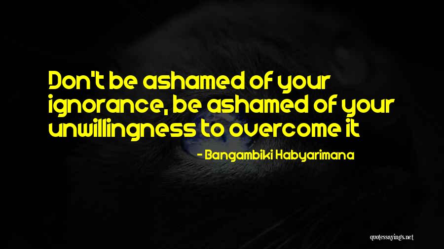 Kemppi Minarc Quotes By Bangambiki Habyarimana Kemppi Minarc Quotes By Bangambiki Habyarimana