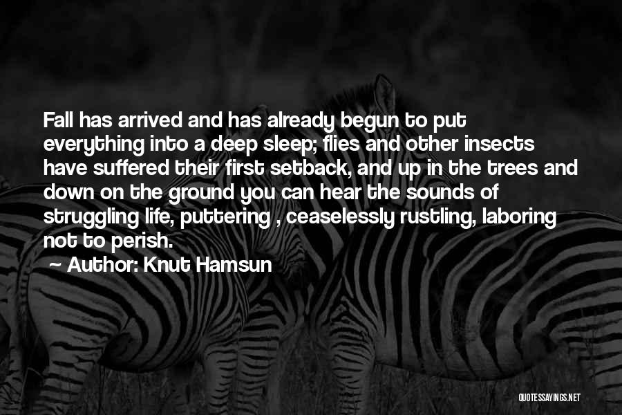 Ken Eastman Quotes By Knut Hamsun