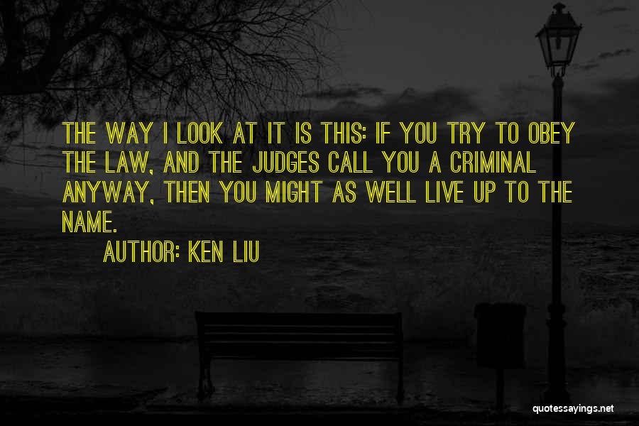 Ken Liu Quotes 1383493