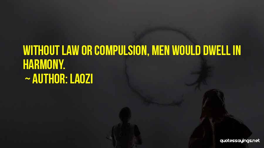 Ken Rosenberg Quotes By Laozi