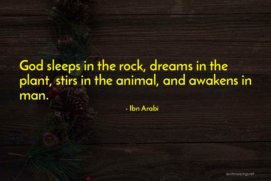 Ken Sande Peacemaker Quotes By Ibn Arabi Ken Sande Peacemaker Quotes By Ibn Arabi