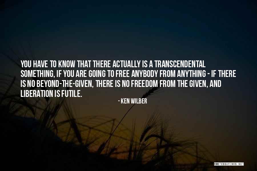 Ken Wilber Quotes 1059071