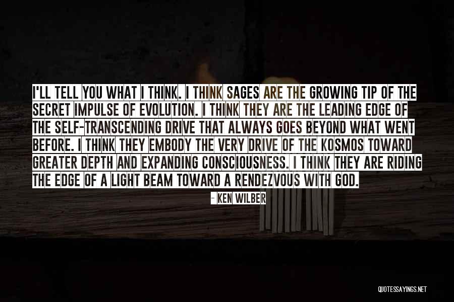Ken Wilber Quotes 1164463 Ken Wilber Quotes 1164463