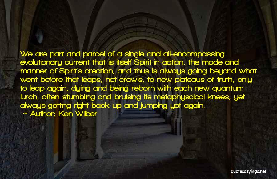 Ken Wilber Quotes 1268692