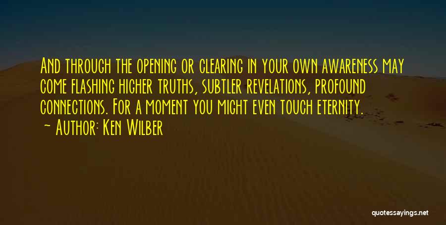 Ken Wilber Quotes 1934932