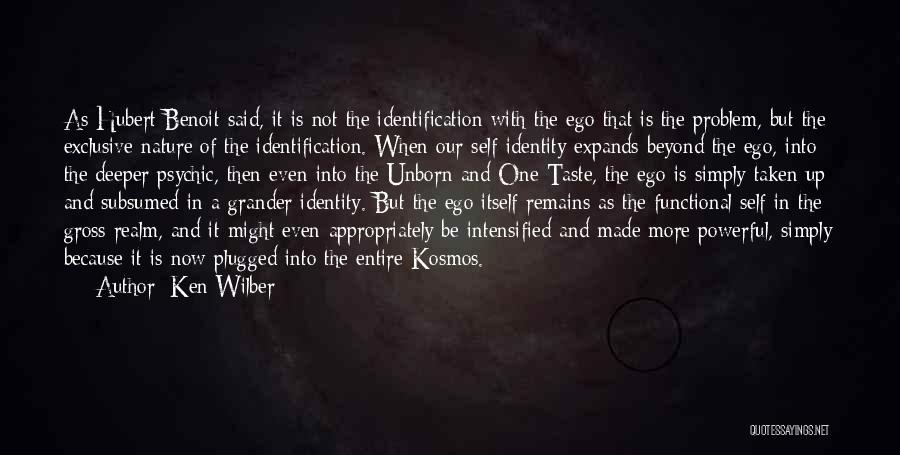 Ken Wilber Quotes 2171963