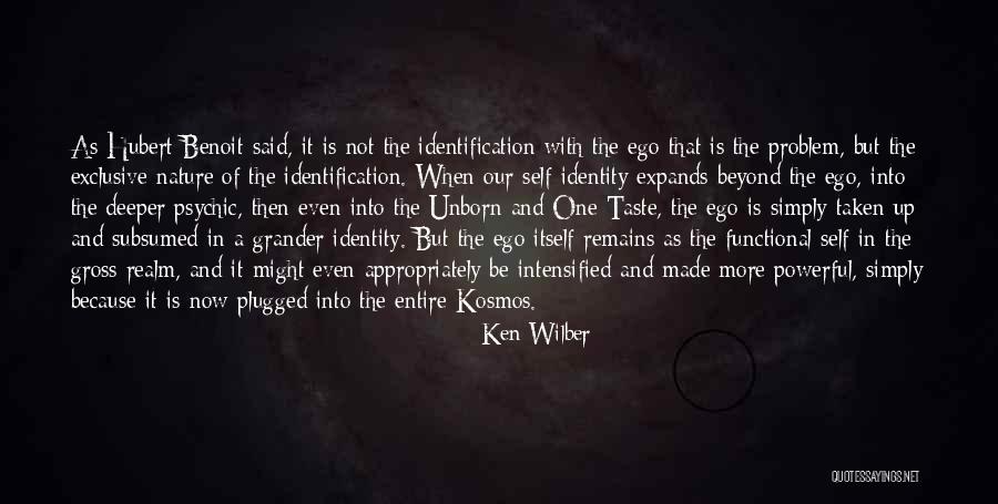 Ken Wilber Quotes 2171963