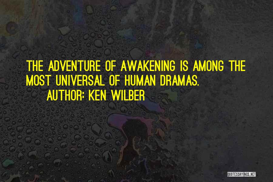 Ken Wilber Quotes 2207804