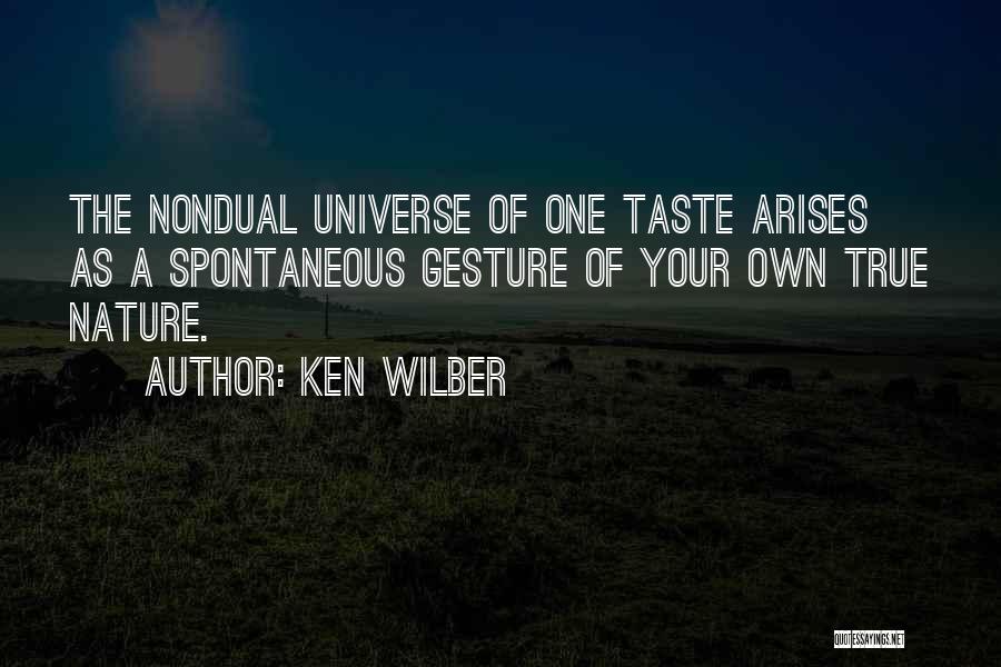 Ken Wilber Quotes 314717