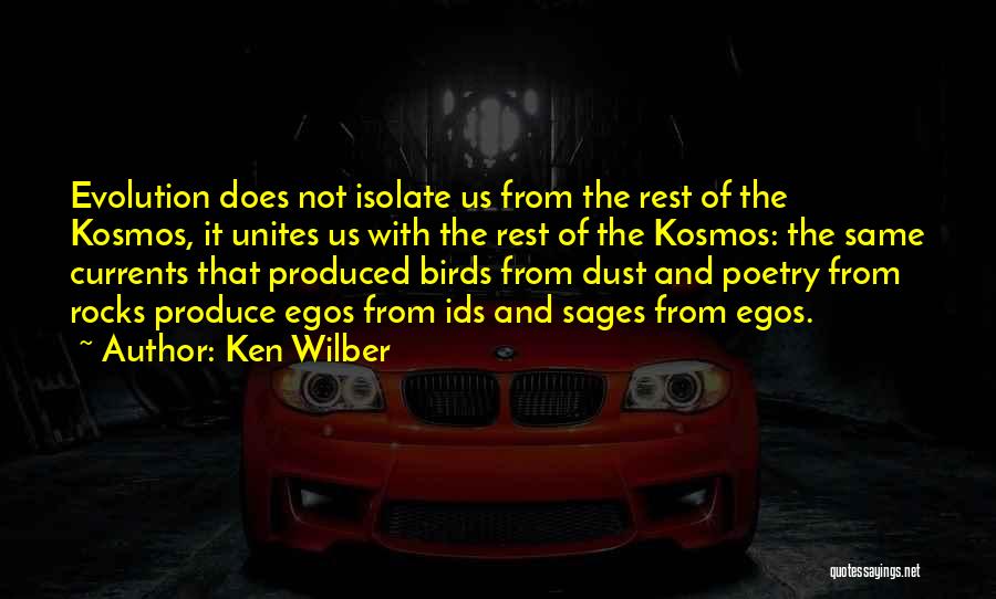 Ken Wilber Quotes 554636