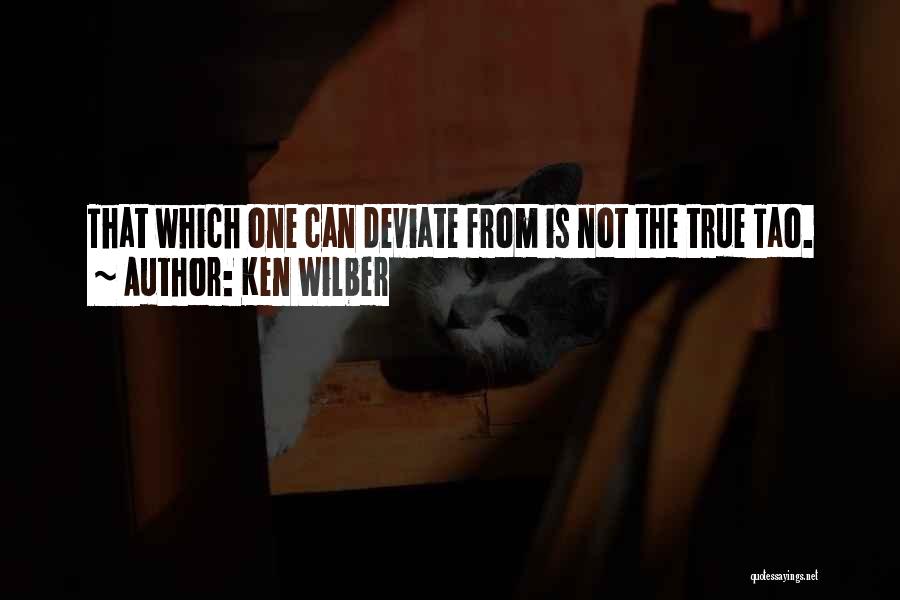 Ken Wilber Quotes 674379