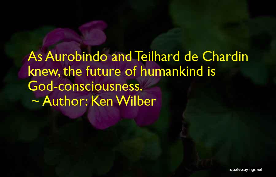 Ken Wilber Quotes 813204