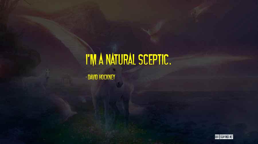 Kenaikan Tuhan Quotes By David Hockney Kenaikan Tuhan Quotes By David Hockney