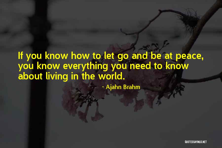 Kenara Quotes By Ajahn Brahm Kenara Quotes By Ajahn Brahm