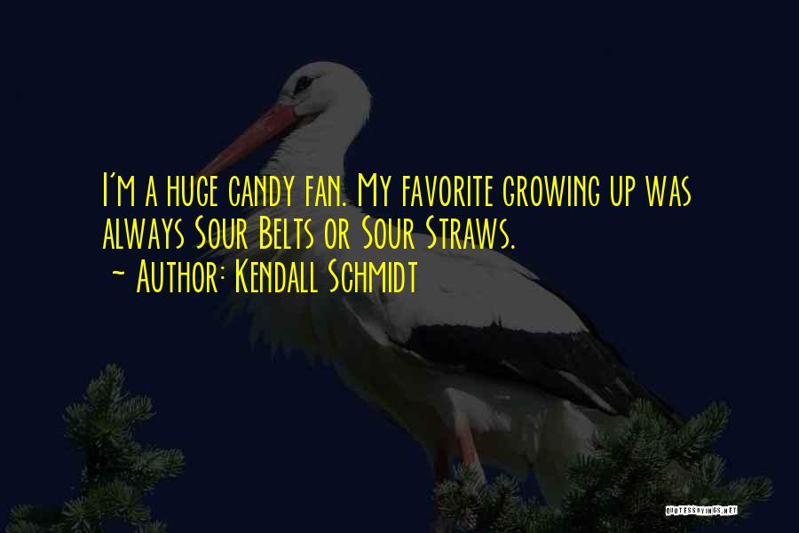 Kendall Schmidt Quotes 819006