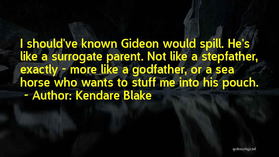 Kendare Blake Quotes 1548886