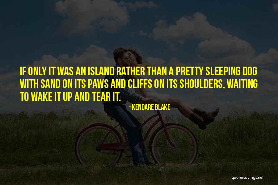 Kendare Quotes By Kendare Blake Kendare Quotes By Kendare Blake