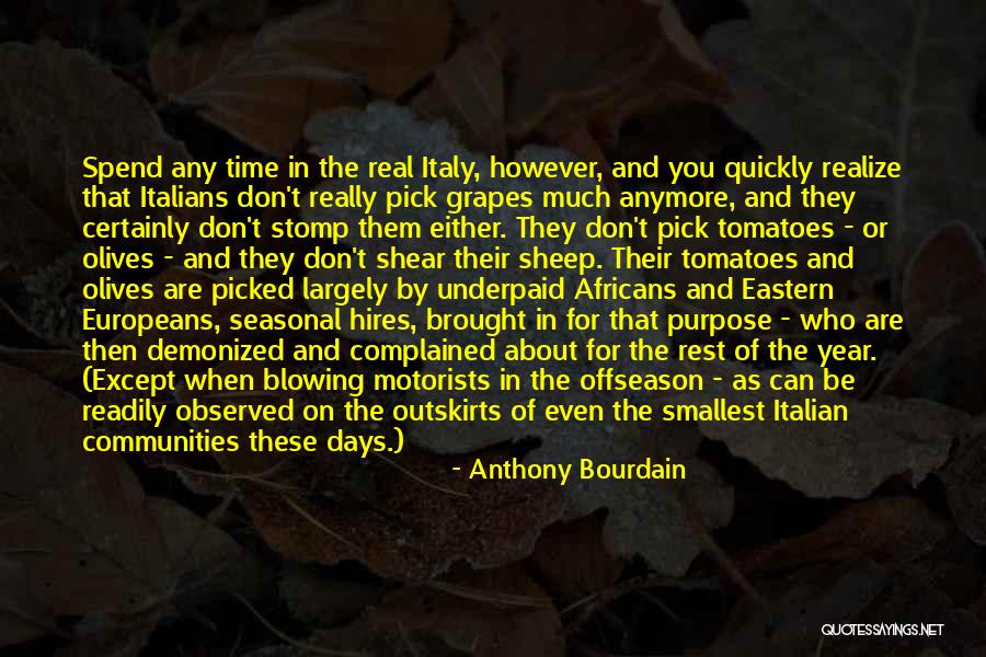 Kendra Beebe More To Story Quotes By Anthony Bourdain Kendra Beebe More To Story Quotes By Anthony Bourdain