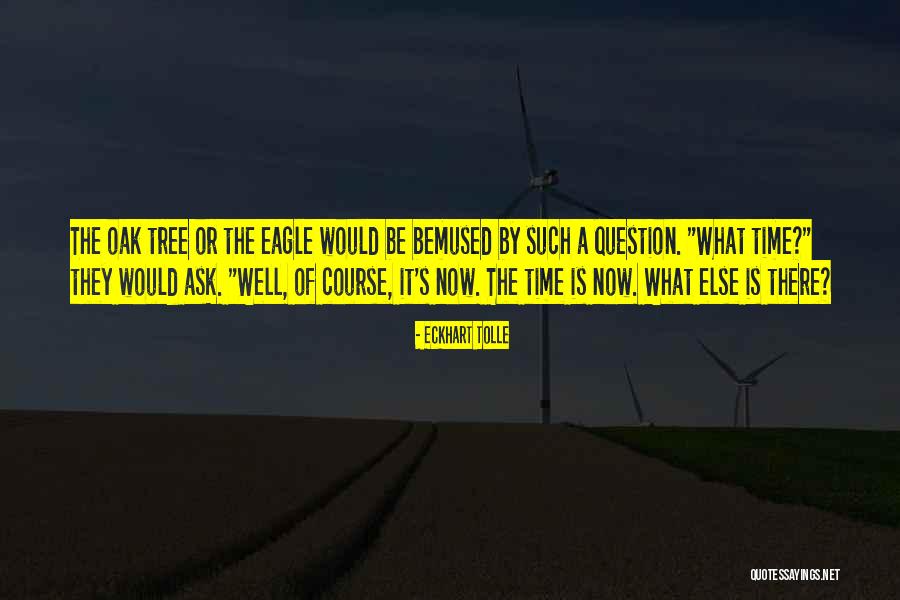 Kendyce Rupe Quotes By Eckhart Tolle Kendyce Rupe Quotes By Eckhart Tolle