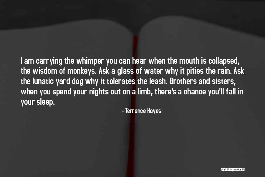 Kennally Lansdale Quotes By Terrance Hayes Kennally Lansdale Quotes By Terrance Hayes