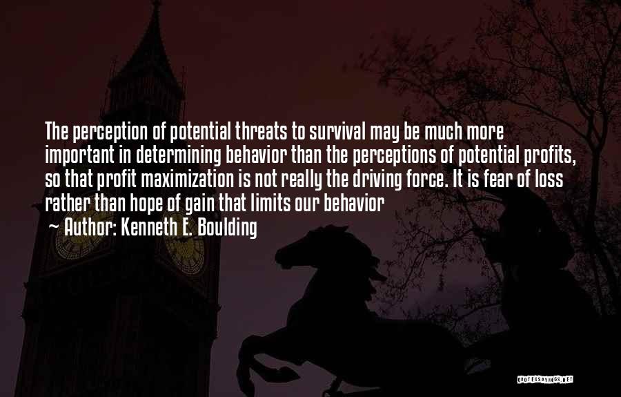 Kenneth E. Boulding Quotes 2006041