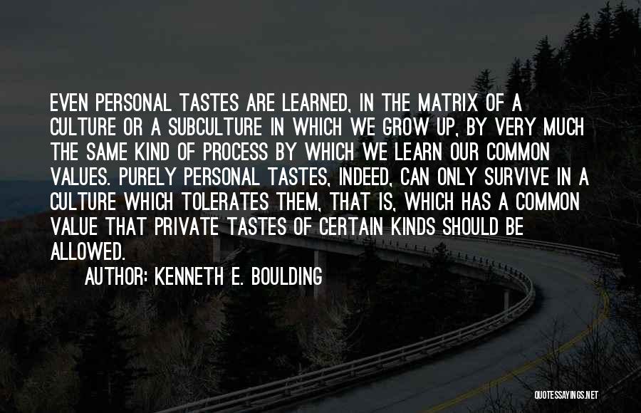 Kenneth E. Boulding Quotes 2043569