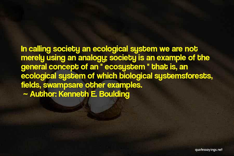 Kenneth E. Boulding Quotes 769300